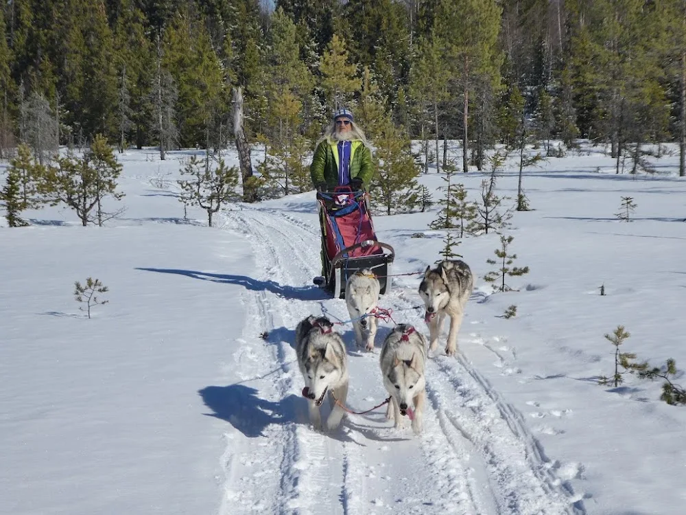Nordic Husky Farm - Jämtland pet otel görseli 3