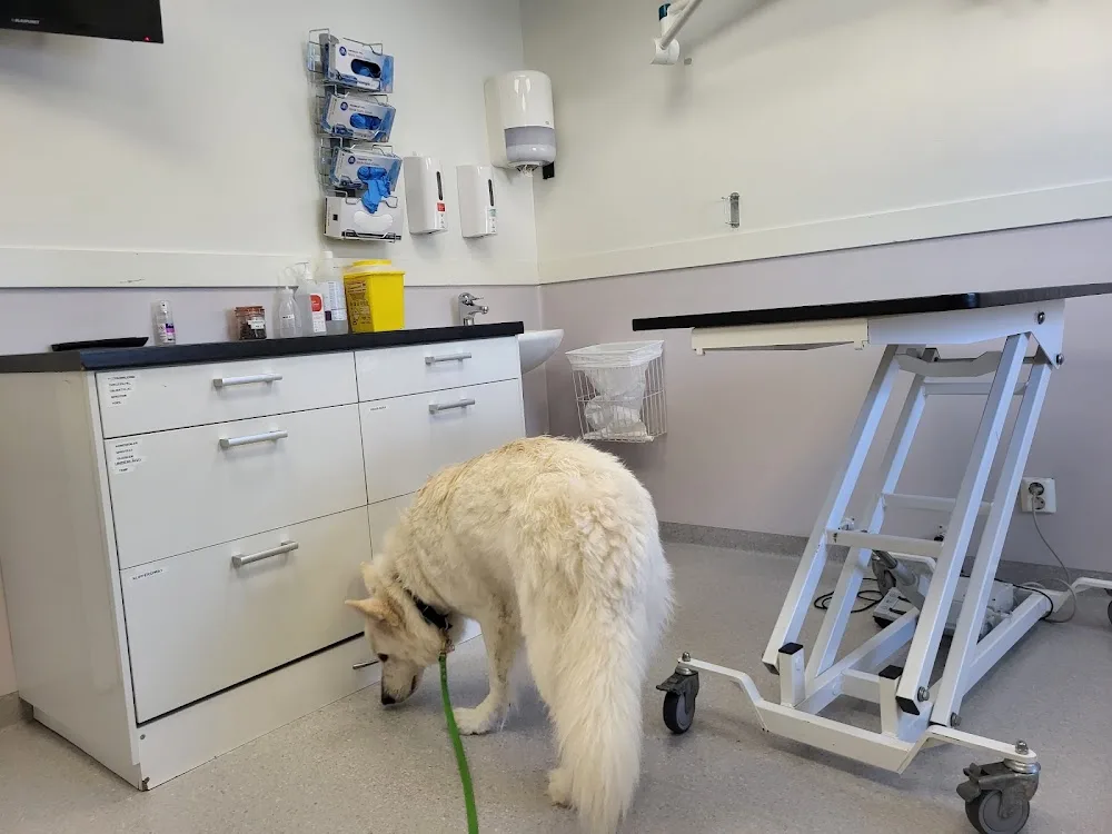 Östersunds Djursjukhus Evidensia - Jämtland pet otel görseli 3