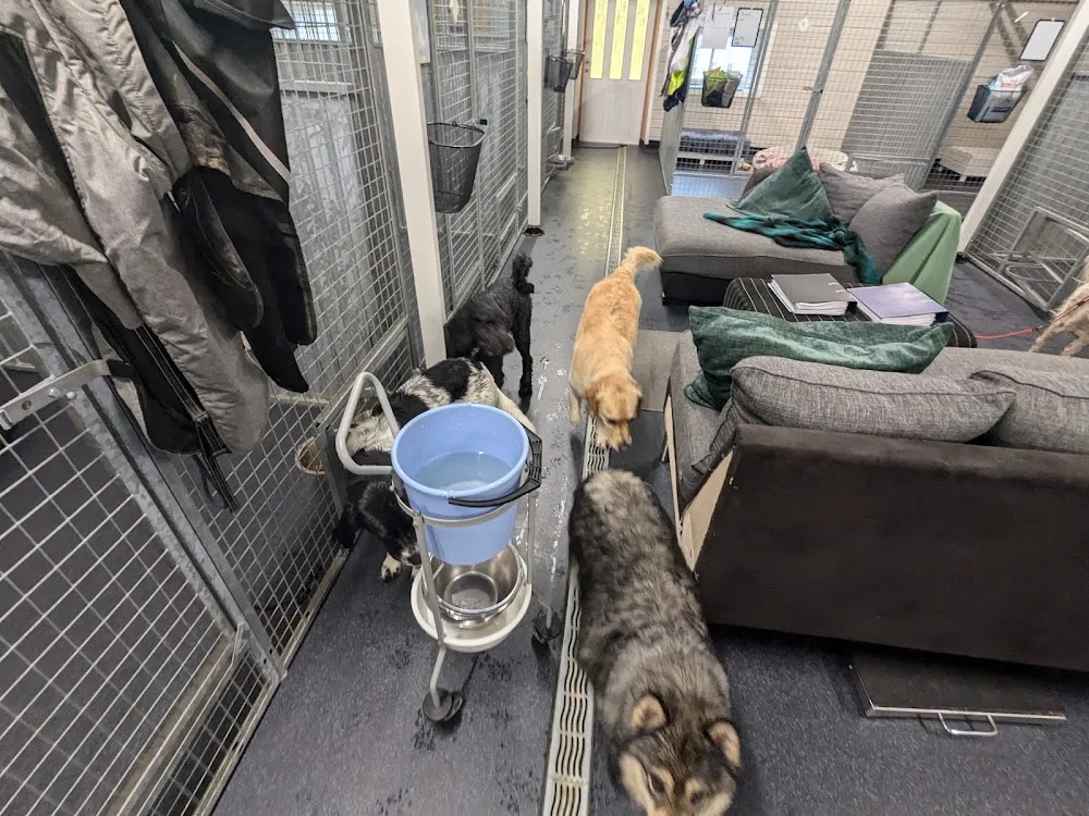 Juvika hunde- og kattehotell - Jan Mayen pet otel