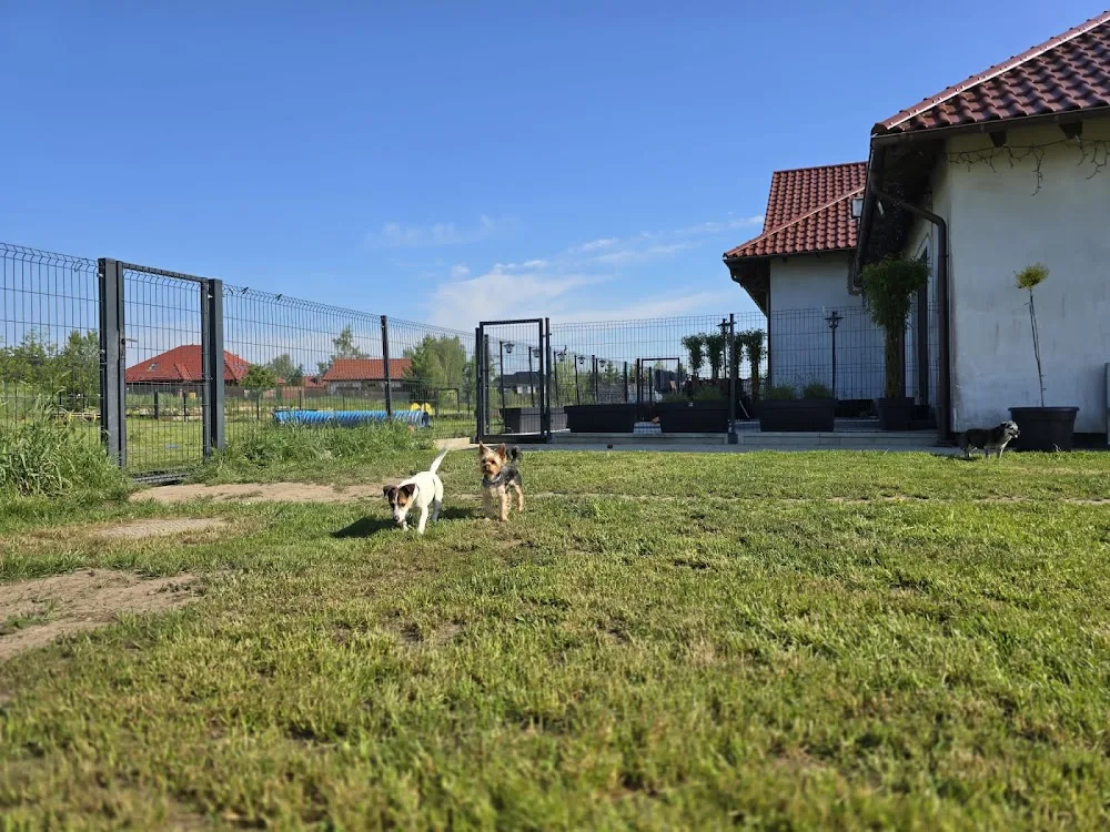 Domowy Hotel dla Zwierząt "Puchata Chata" - Jankowo Gdańskie pet otel