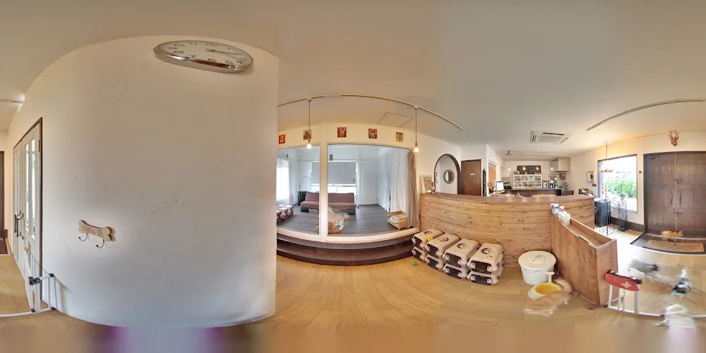 Pooch Animal Boarding - Japan pet otel görseli 3