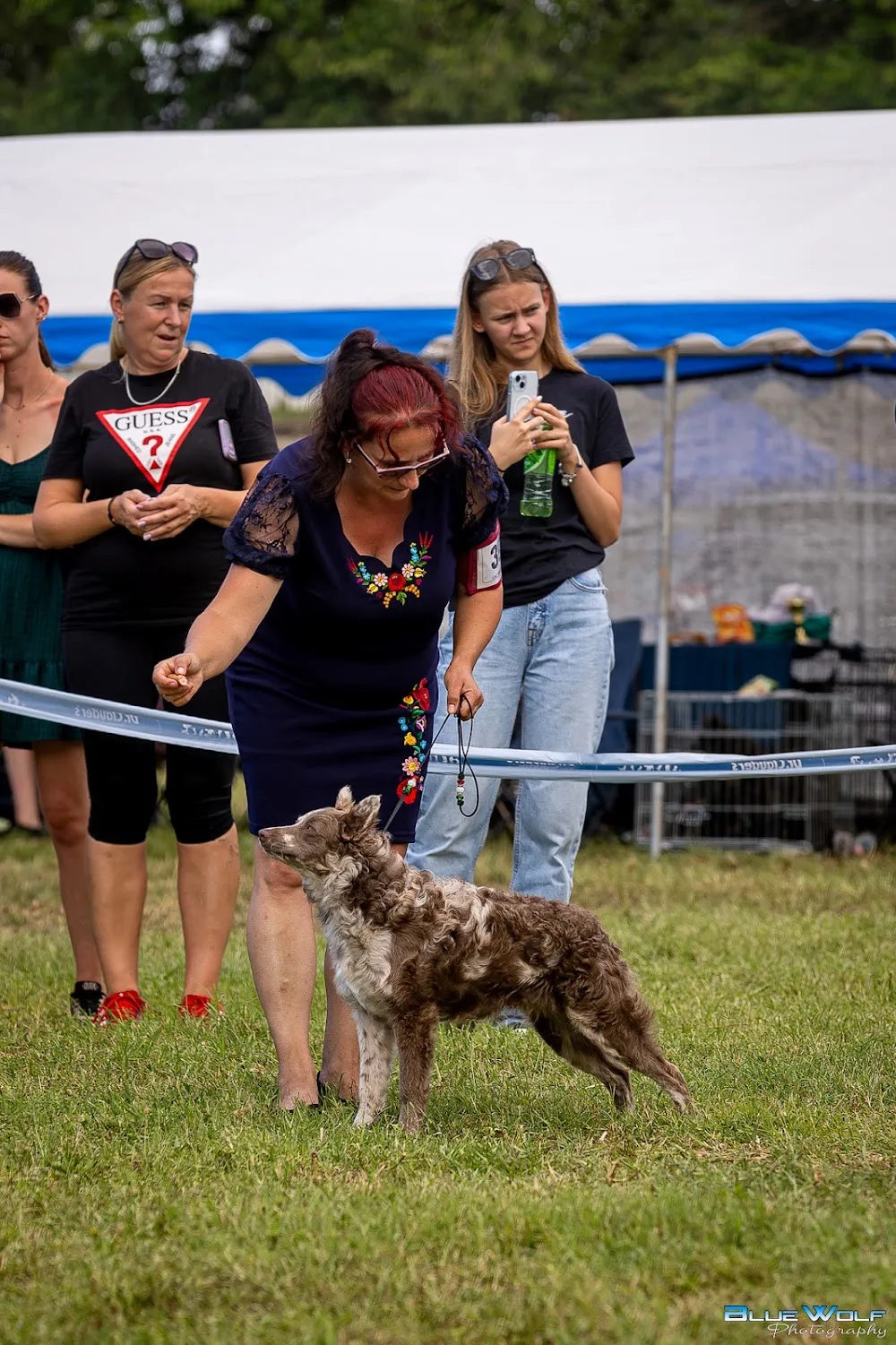 Kacifántos Mudi Kennel - Jász-Nagykun-Szolnok County pet otel