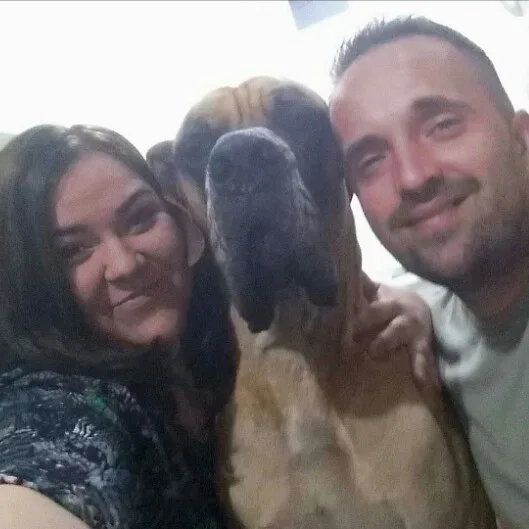 Pajti Pajta Panzió - Jász-Nagykun-Szolnok County pet otel görseli 5