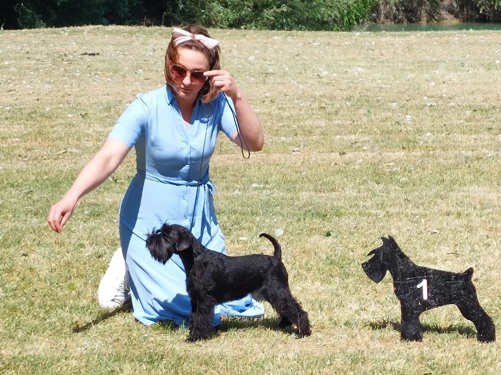 Peres-parti kennel - Jász-Nagykun-Szolnok County pet otel görseli 3