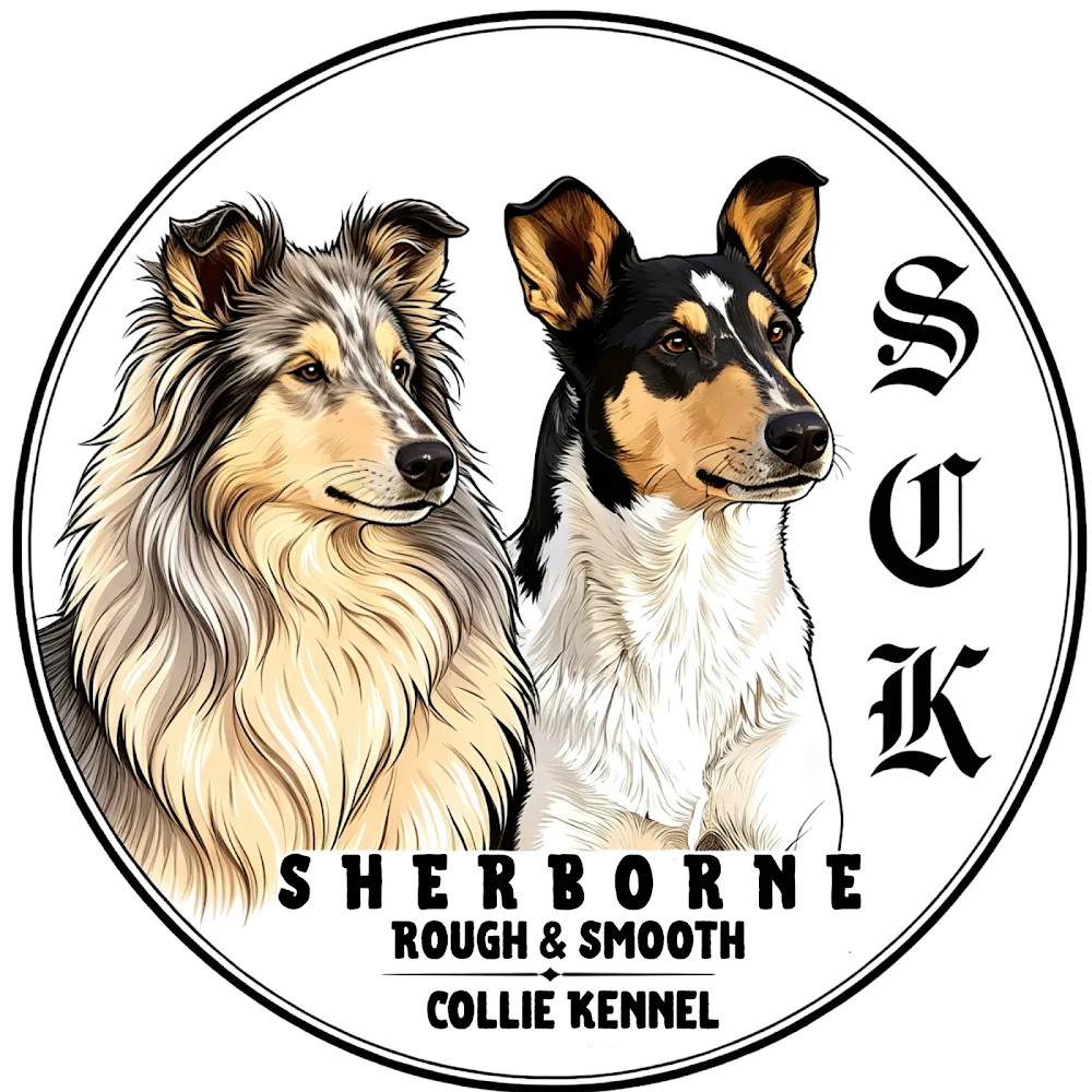 Sherborne Rough & Smooth Collie Kennel - Jász-Nagykun-Szolnok County pet otel görseli 3