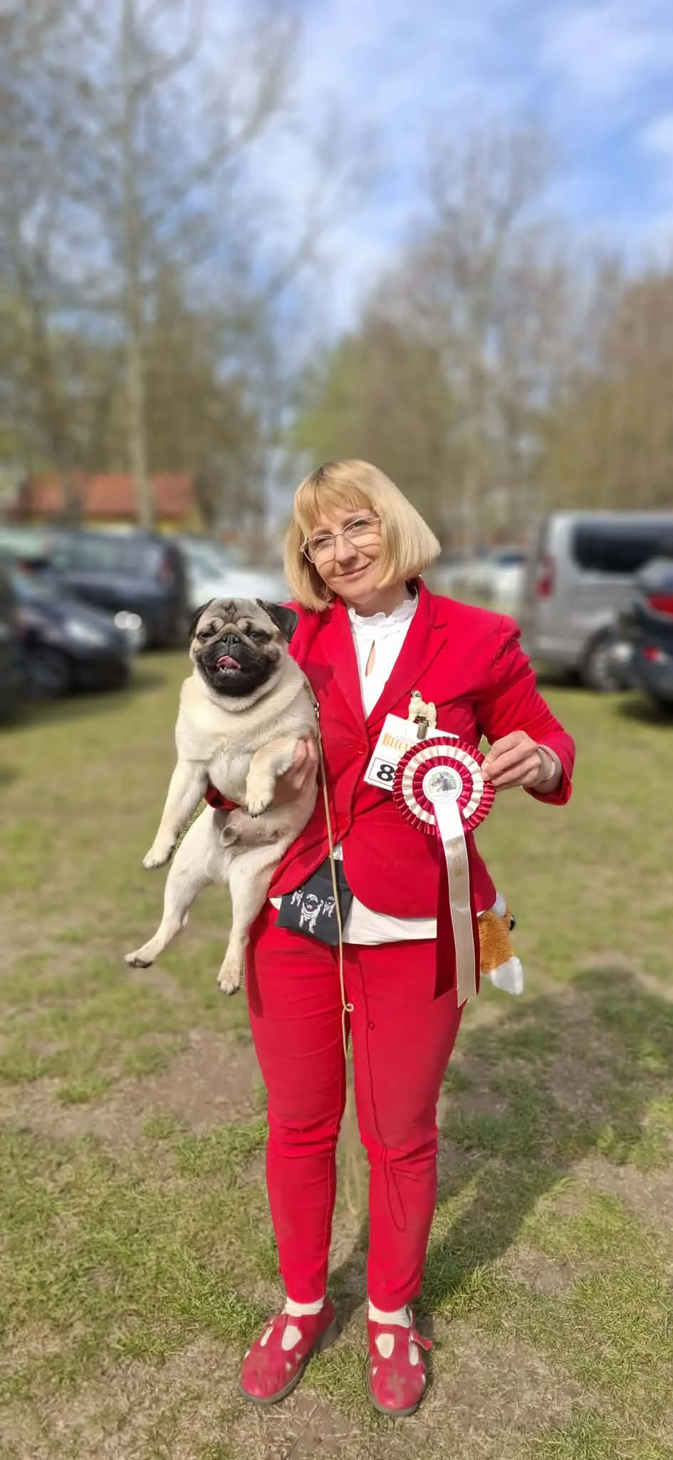 SZENTMIKLÓSI CSILLAG FENYE MOPSZ KENNEL /ARANYKOSZORÚS MESTERTENYÉSZET/ - Jász-Nagykun-Szolnok County pet otel