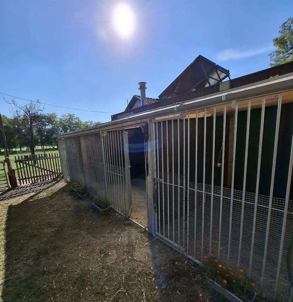 URALTOBET Honden Pension en Katten Pension/ Kutyapanzió és Macskapanzió - Jász-Nagykun-Szolnok County pet otel görseli 7