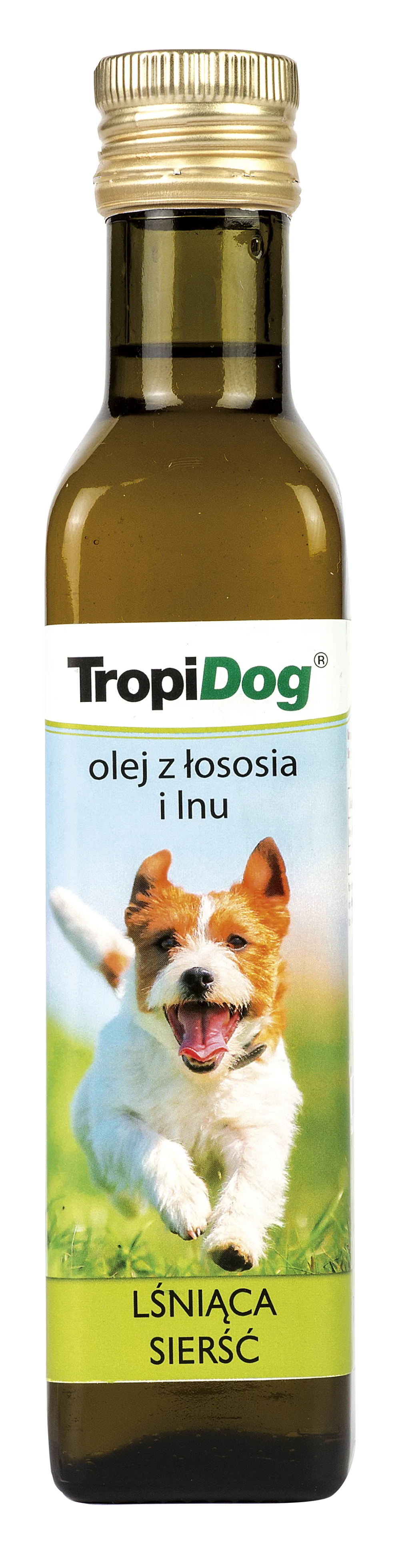 ZooDog - Jeseník pet otel