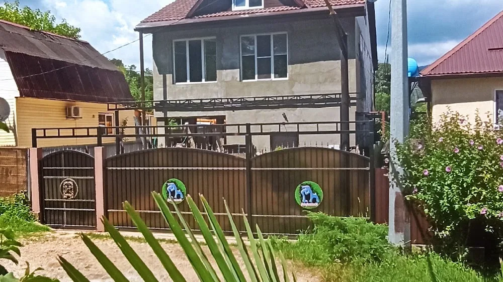 Doghotelsochi "Doghouse" - Jewish pet otel