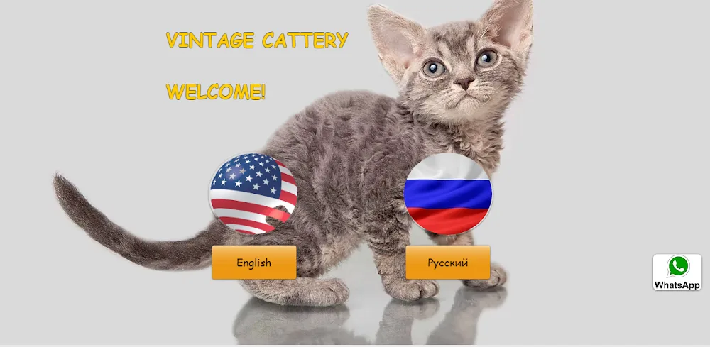 Vintage Cattery - Jewish pet otel