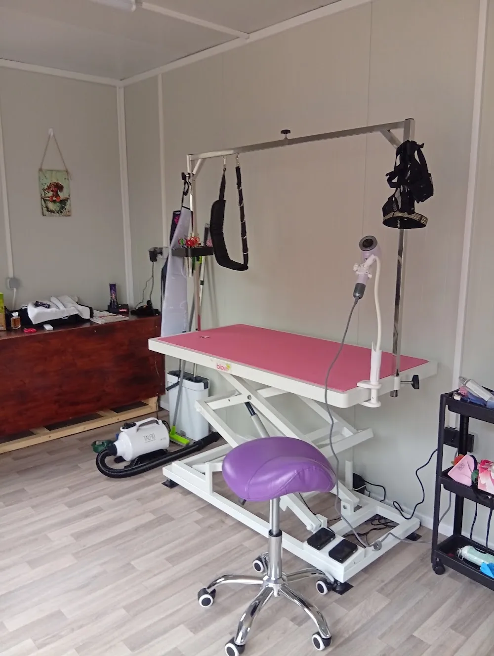 Psí salon u Edy - Jihočeský kraj pet otel