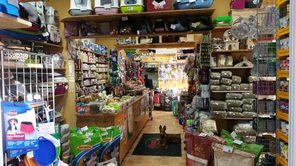 Zooveta a Salón pro psy Gábi - Jihočeský kraj pet otel görseli 3