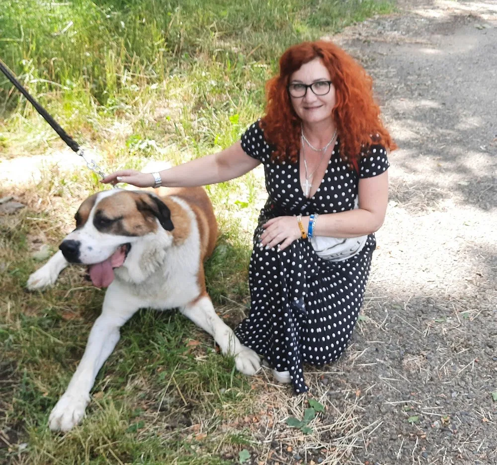 Útulek pro psy při Zoologické zahradě Hodonín - Jihomoravský kraj pet otel görseli 3