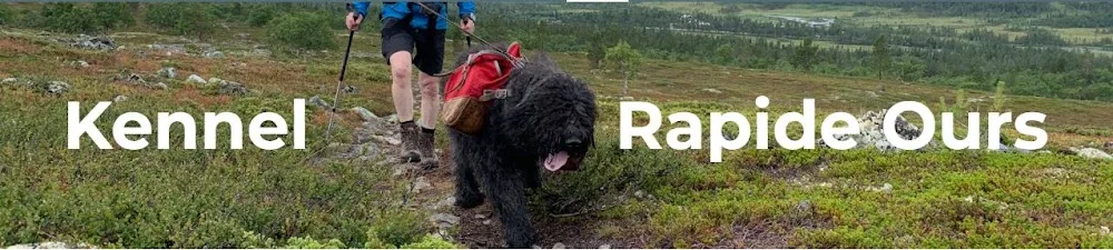 Kennel Rapide Ours - Jönköping pet otel görseli 2