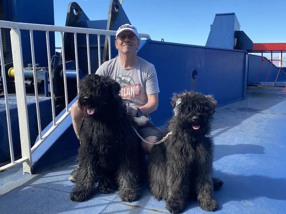 Kennel Rapide Ours - Jönköping pet otel görseli 3