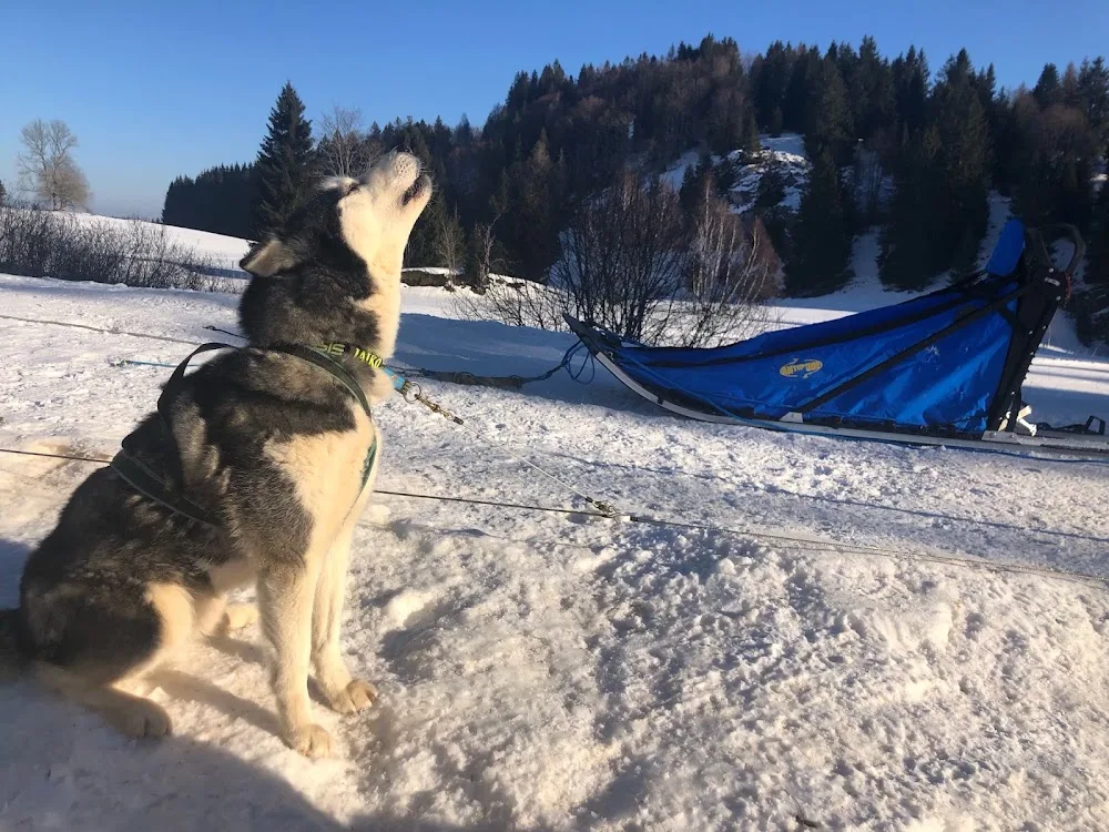 Domaine du Tihar - Jura pet otel