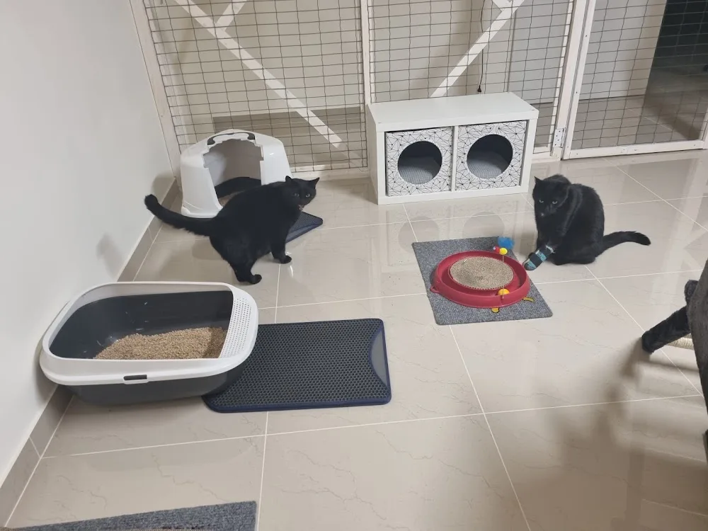 L'Auberge des Chats - Jura pet otel görseli 2