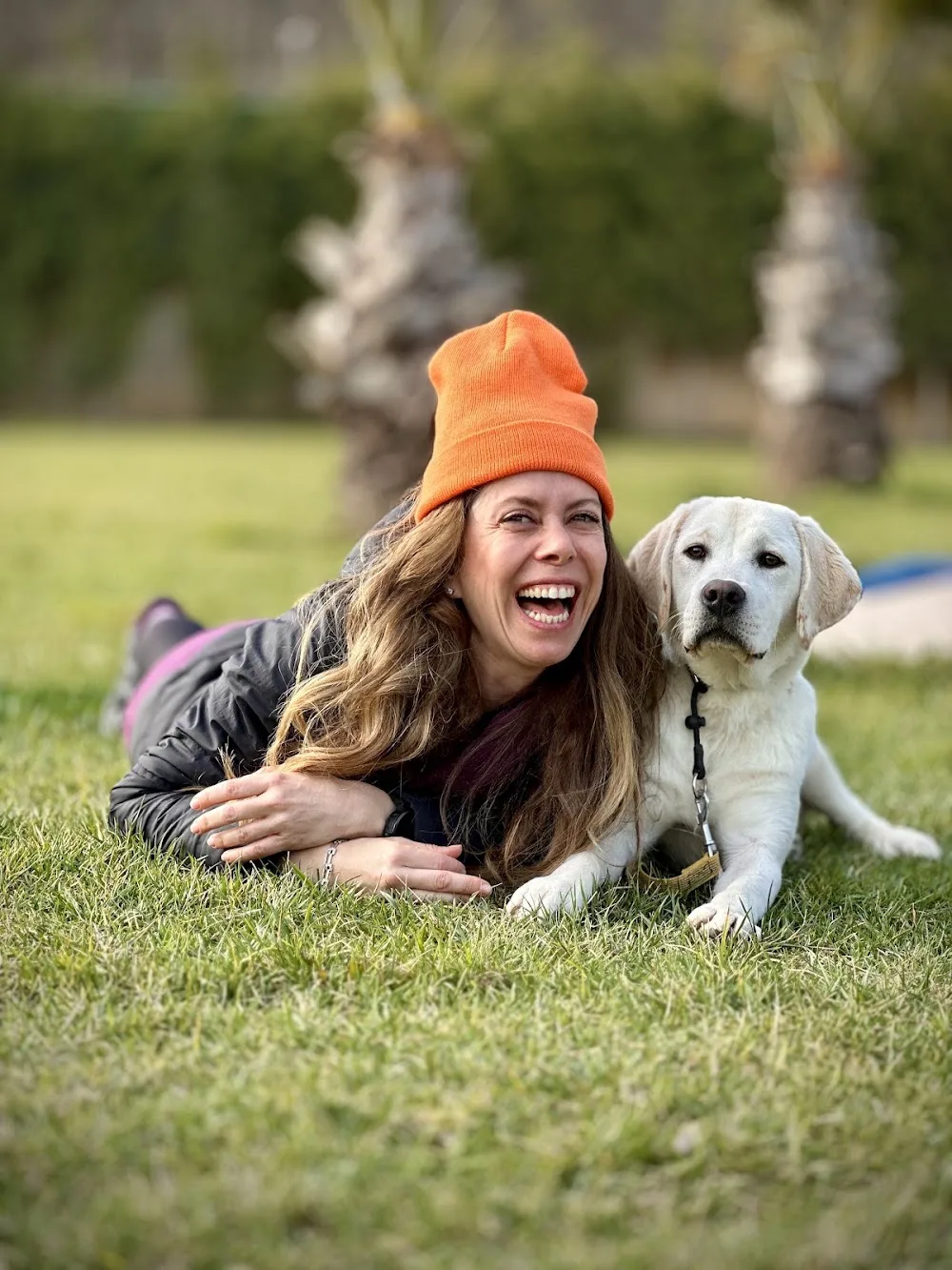 K9 İstanbul | Köpek Eğitimi, Köpek Oteli & Irk Danışmanlığı - Şile pet otel görseli 3