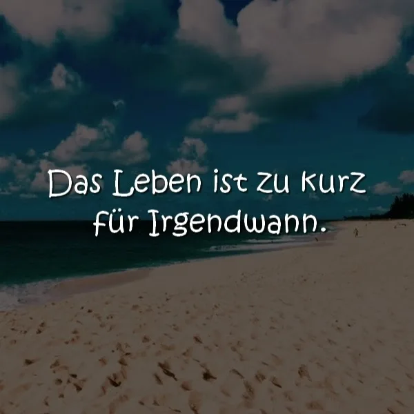 Daniela Stordeur Tierpension Sissy und Lissy - Kabelsketal pet otel görseli 4
