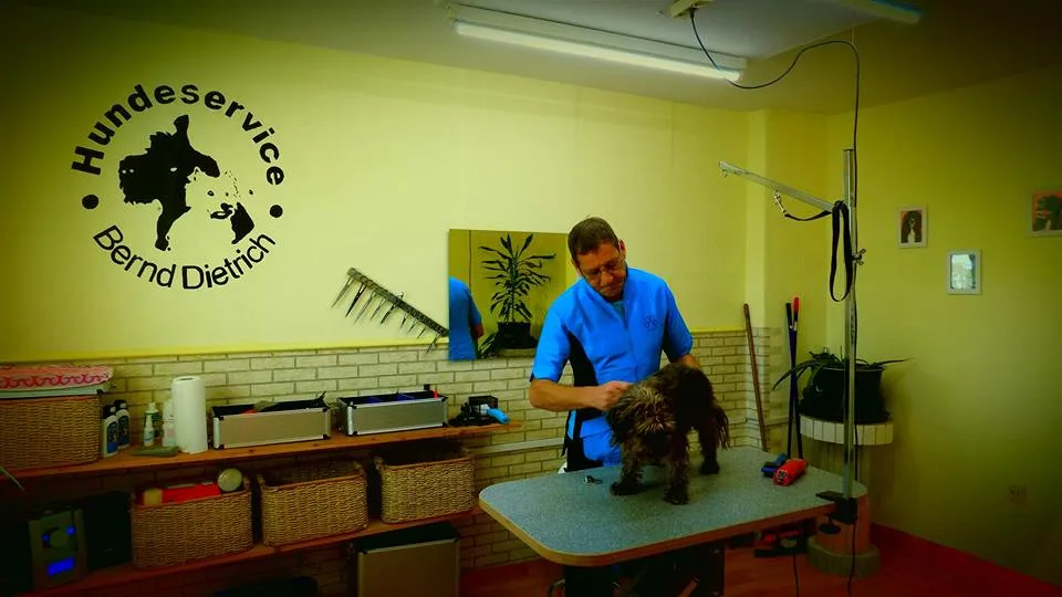 Hundeservice Bernd Dietrich - Kabelsketal pet otel görseli 3