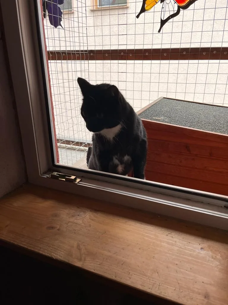 Kleintierpension Sissy & Lissy - Kabelsketal pet otel