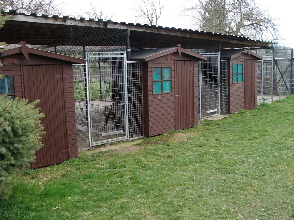 Tierpension Lätsch - Kabelsketal pet otel görseli 3