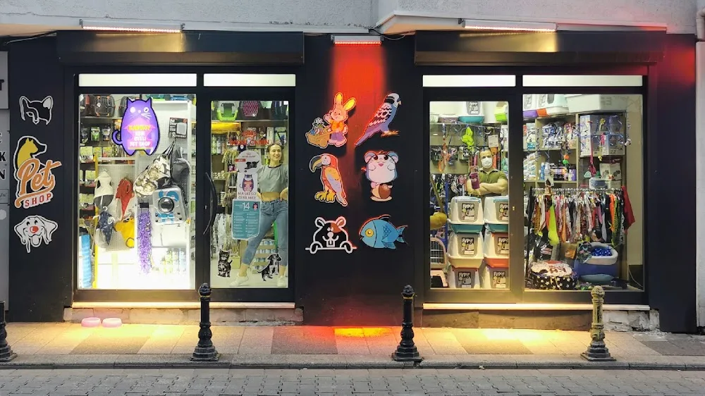 Kadıköy Kedi Oteli&Pet Shop - Istanbul pet otel görseli 2