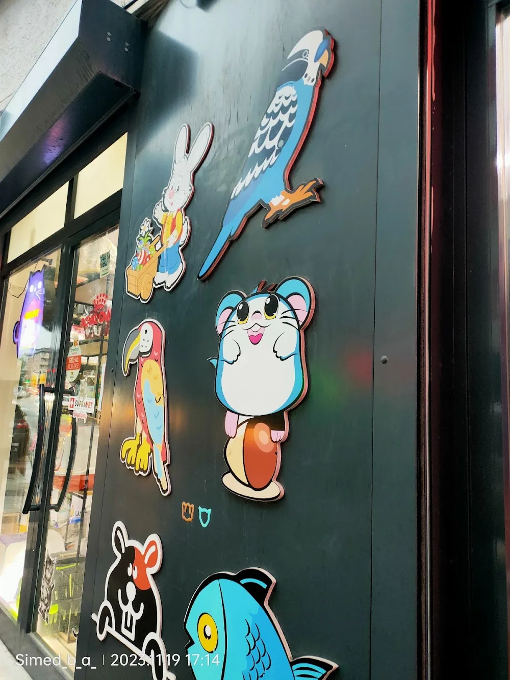 Kadıköy Kedi Oteli&Pet Shop - Istanbul pet otel görseli 3