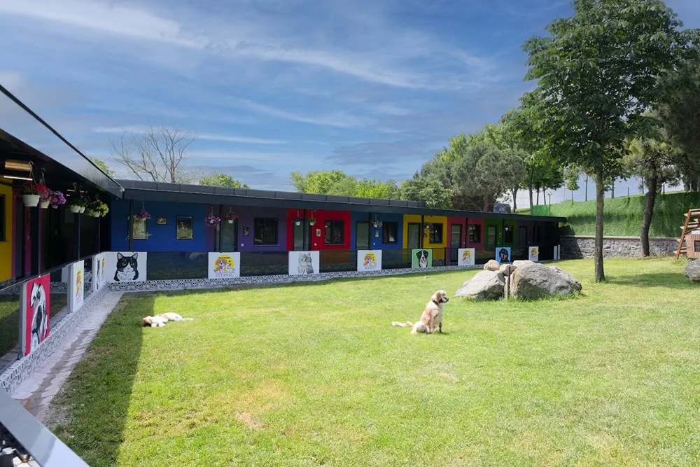 Adapark Pet Otel - Kahramanmaraş pet otel görseli 3