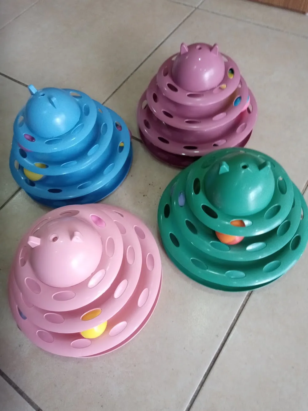 Çakıl Kedi Oteli ve Pet Shop - Kahramanmaraş pet otel