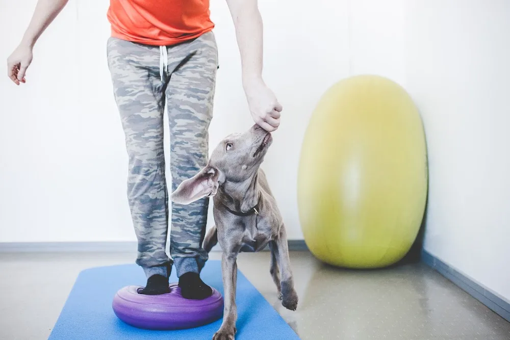 Aisti ja Tunne Oy - Kainuu pet otel görseli 3