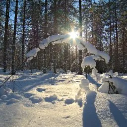 Aisti ja Tunne Oy - Kainuu pet otel görseli 5