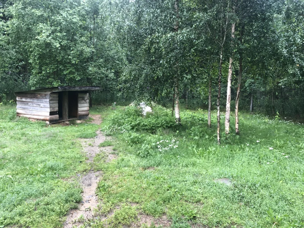 Juliuksen Eläinhotelli - Kainuu pet otel görseli 3
