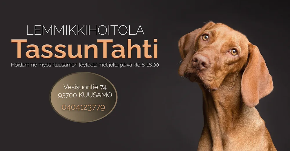 Tmi TassunTahti - Kainuu pet otel görseli 2