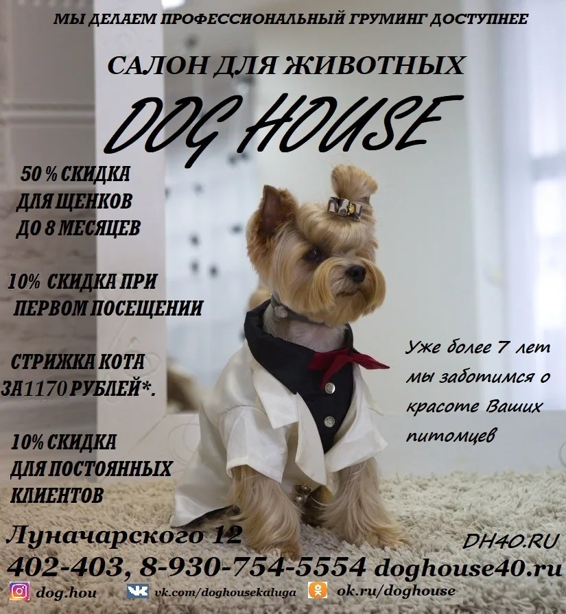 салон для собак Dog House - Kaluga pet otel görseli 3