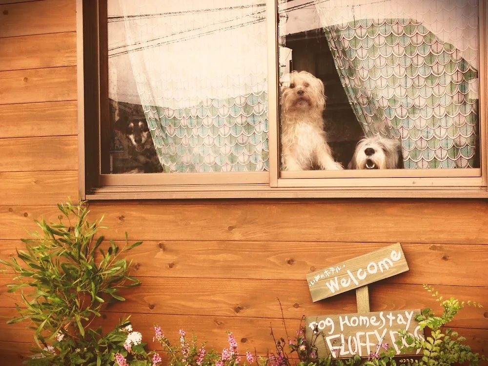 Dog Homestay FLUFFY DOG - Kanagawa pet otel
