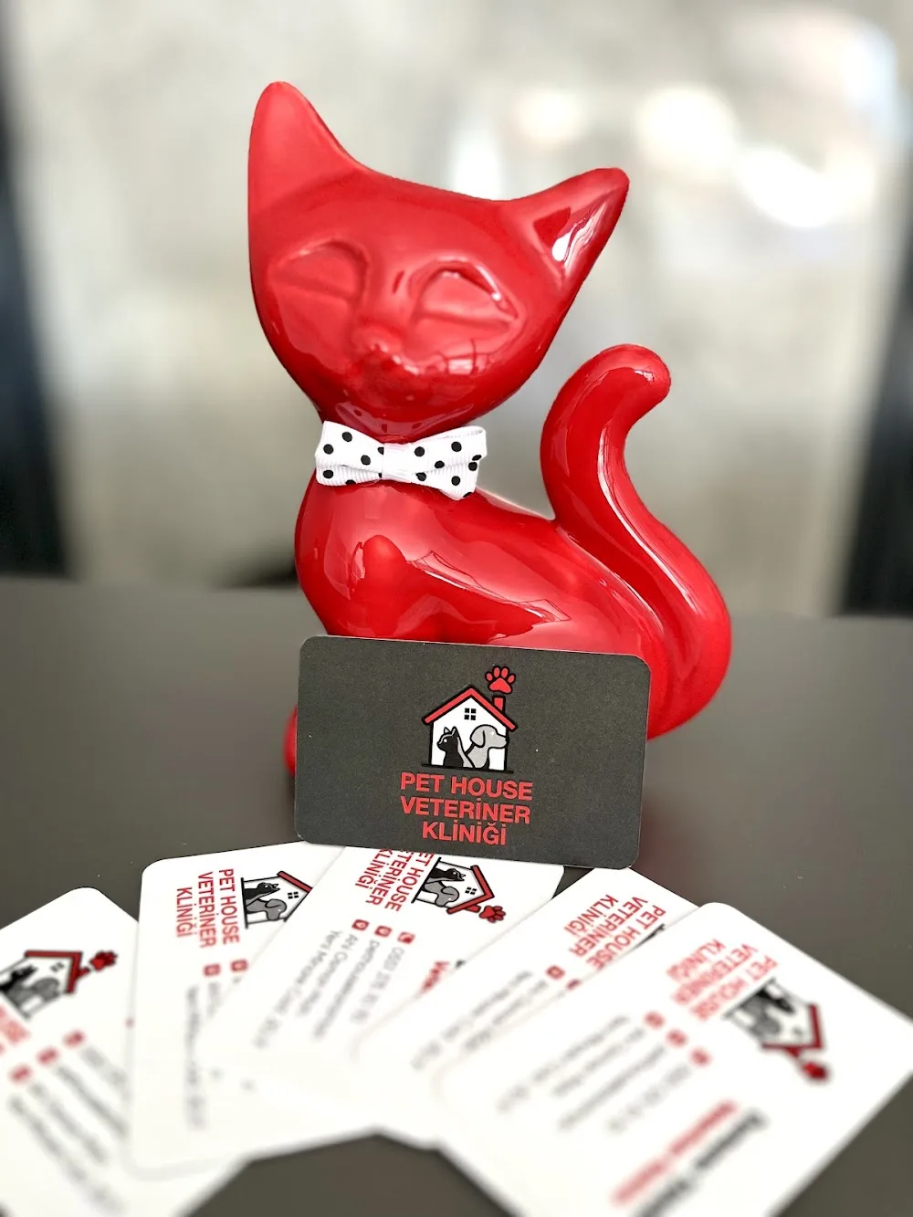 KARAMAN PET HOUSE VETERİNER KLİNİĞİ ( DURSUNE YANAR) - Karaman pet otel görseli 3