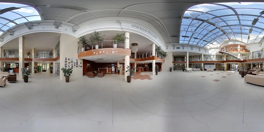Cosmos Petrozavodsk Hotel - Karelia pet otel görseli 3