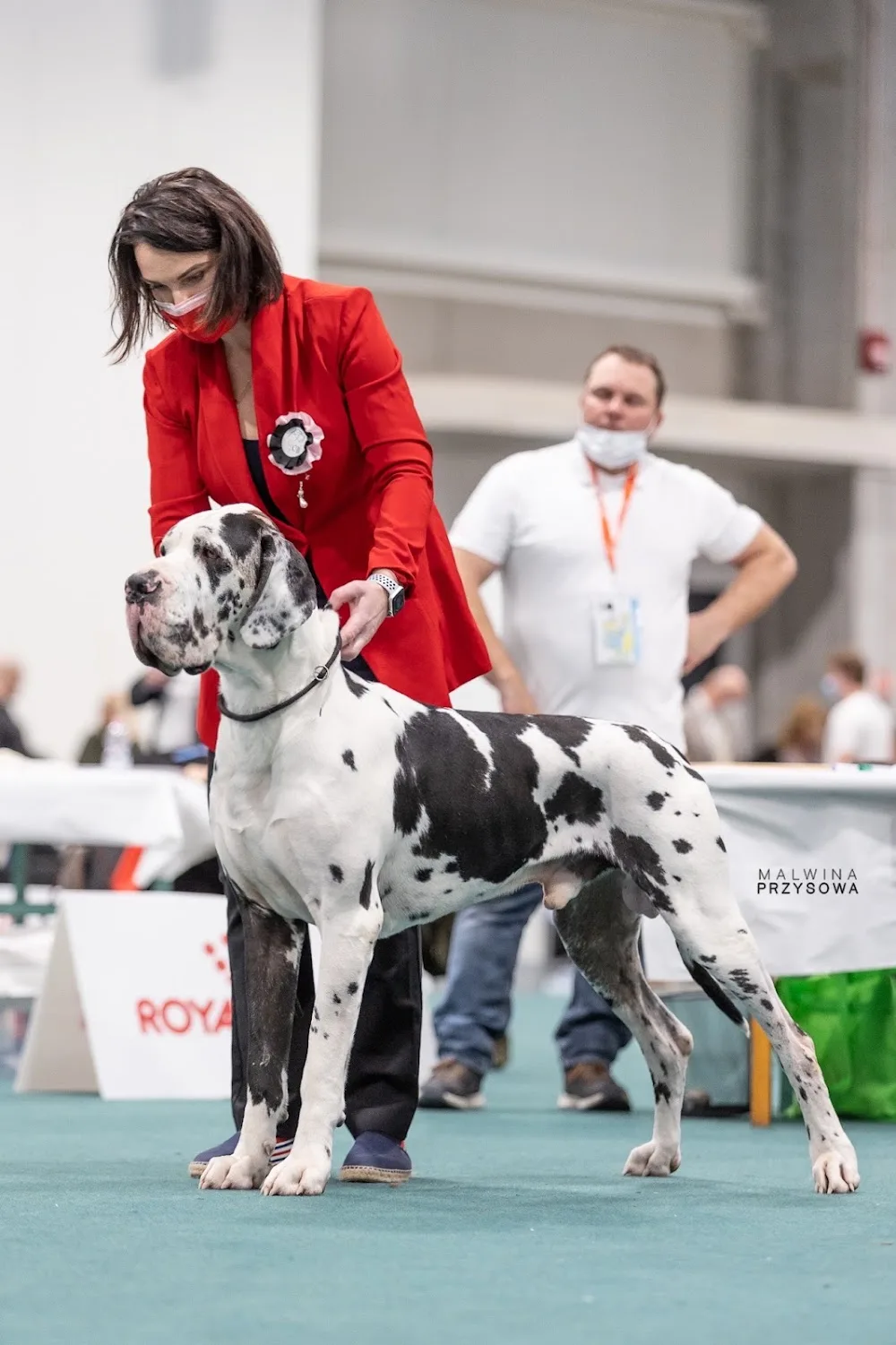 Claudia Bohemica kennel - Karlovarský kraj pet otel görseli 3
