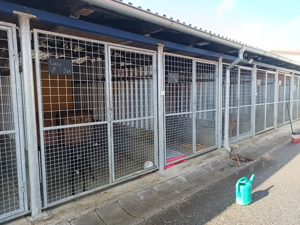 Dog Shelter Šmudlina Tachov - Vítkov - Karlovarský kraj pet otel görseli 3