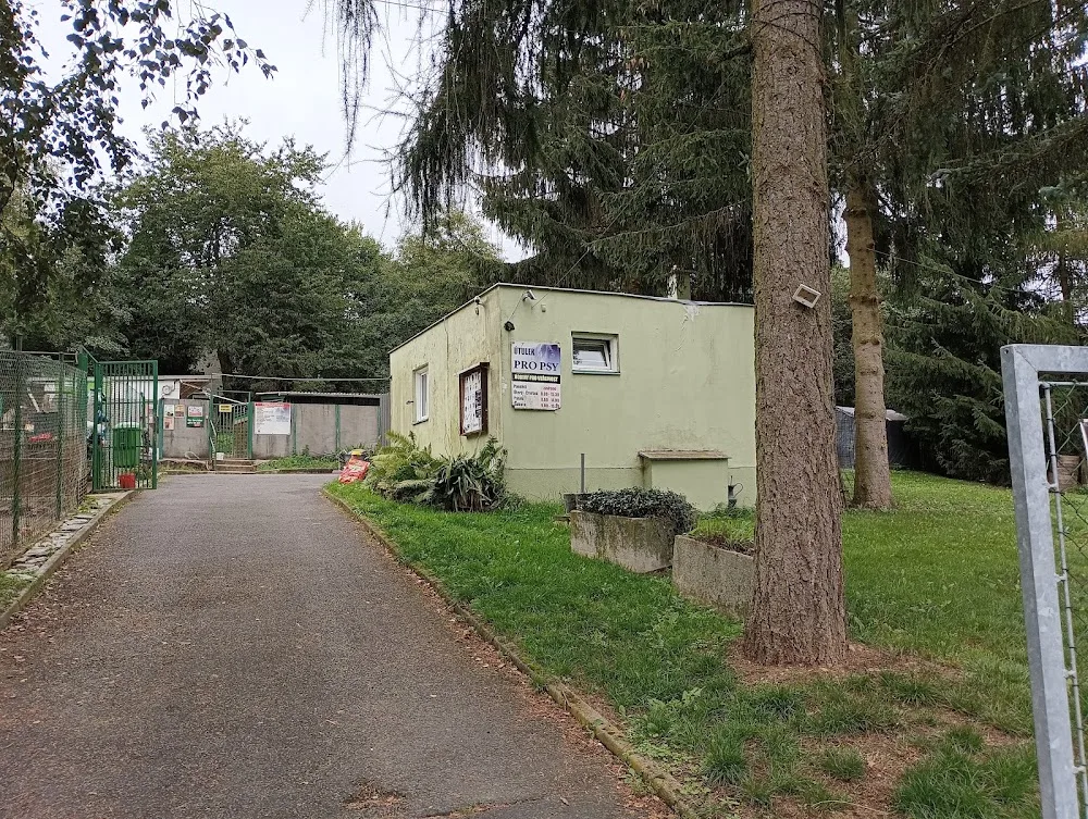 Útulek pro psy Horní Hraničná - Karlovarský kraj pet otel görseli 3