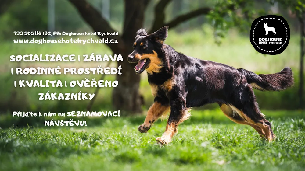 Doghouse • psí hotel a psí školka (denní hlídání) - Karviná pet otel