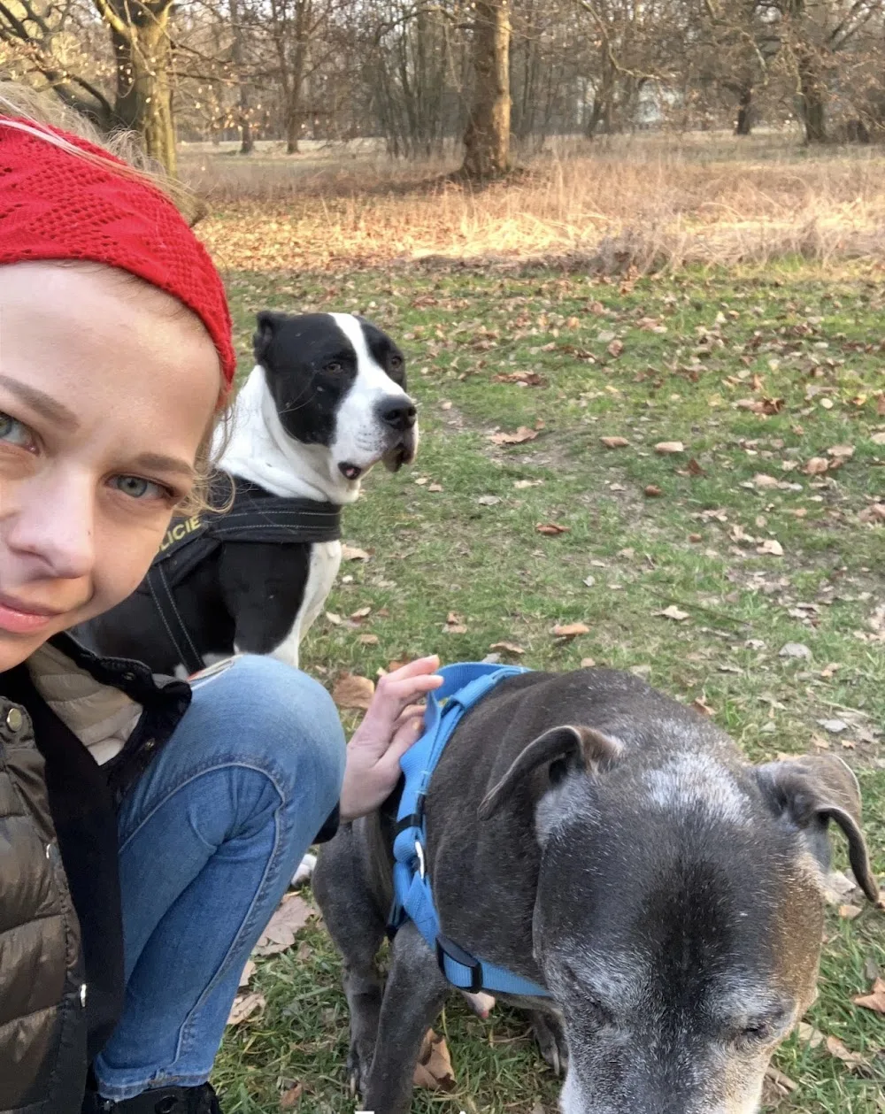 Pet sitter - Karviná pet otel