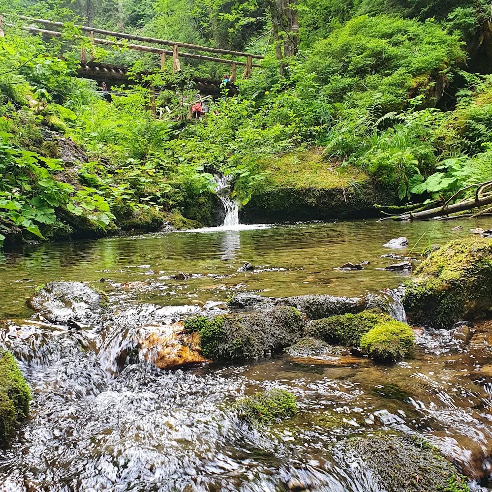 Psí útulek Dětmarovice - Karviná pet otel görseli 5
