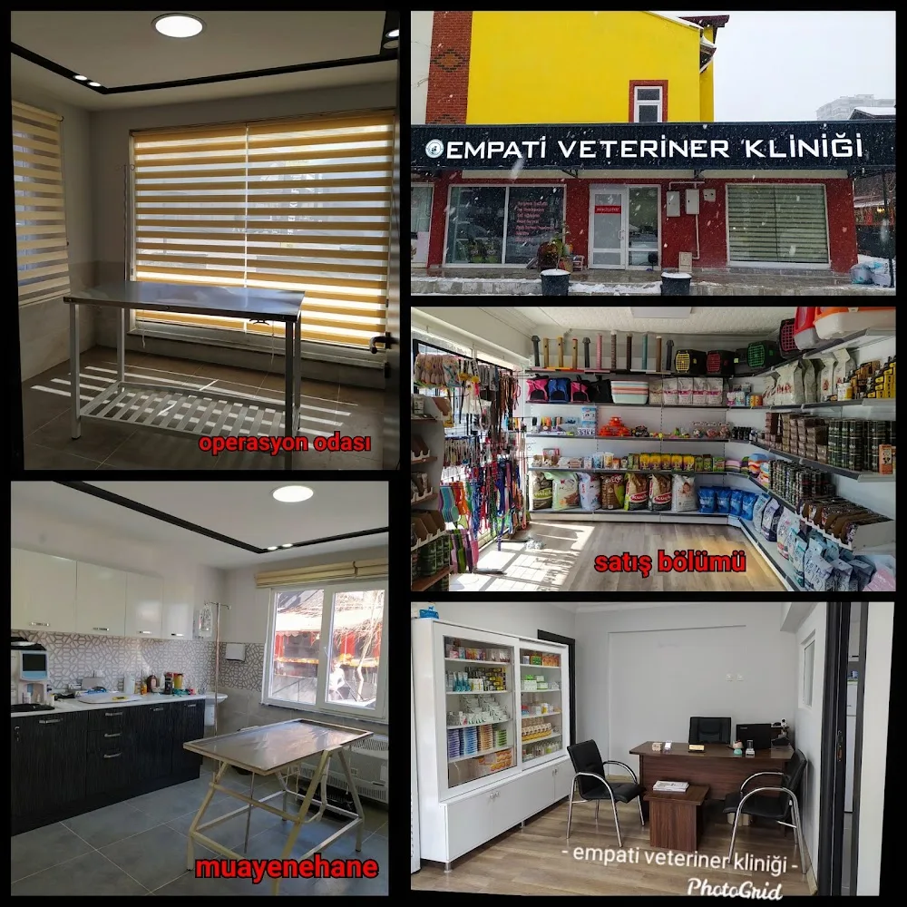 Kastamonu EMPATİ VETERİNER KLİNİĞİ ve EVCİL HAYVAN PANSİYONU - Kastamonu pet otel görseli 3