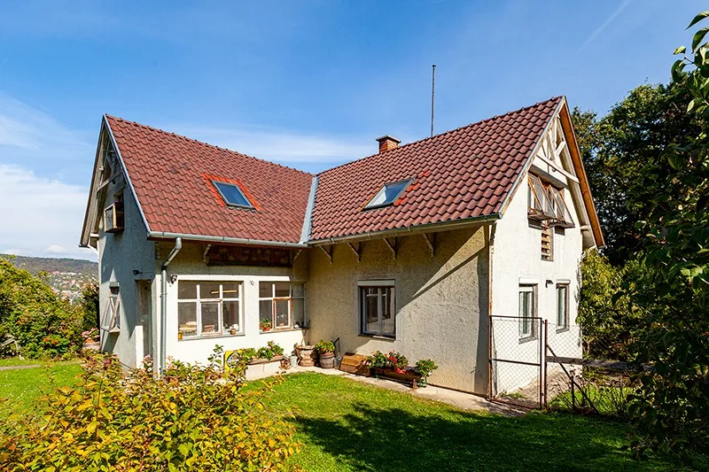 CicaHotel - Kecskemét pet otel görseli 14