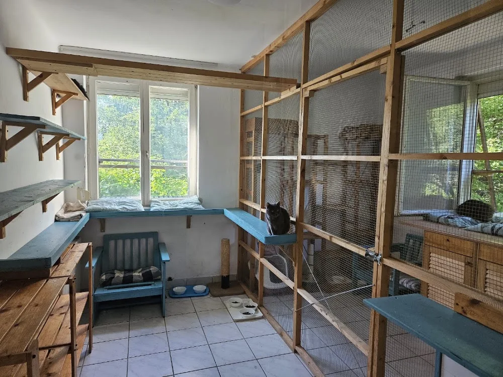 CicaHotel - Kecskemét pet otel görseli 11