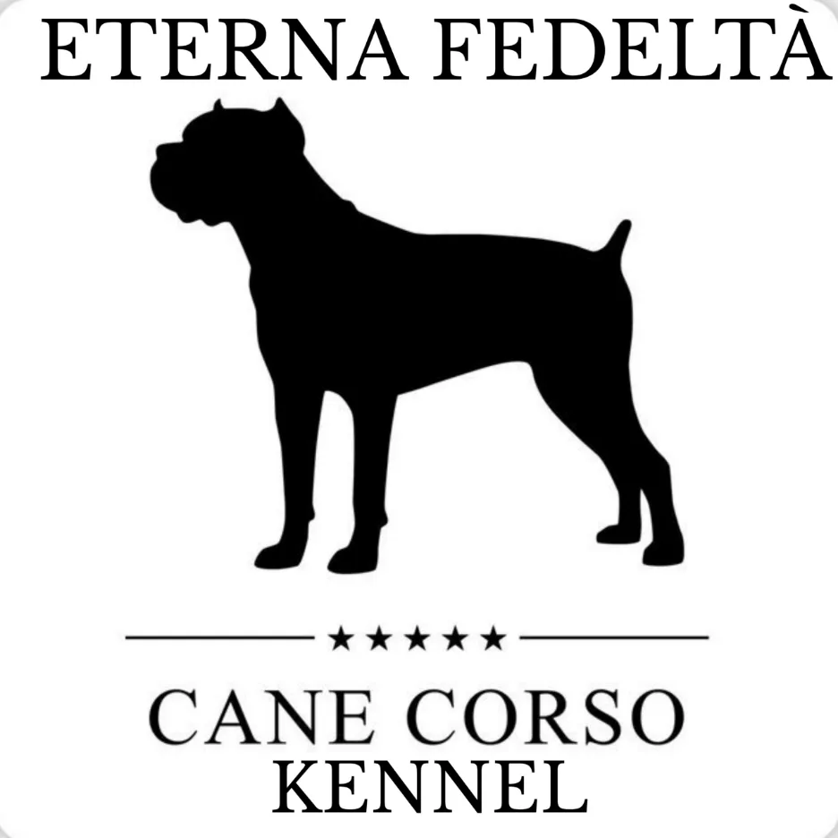 Eterna Fedeltà Cane Corso Kennel - Kecskemét pet otel görseli 3