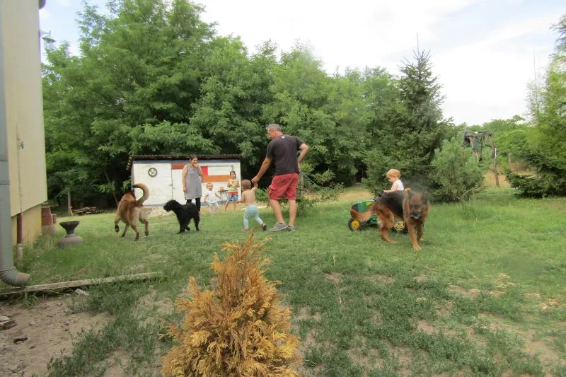 Macskavári Kutyapanzió - Kecskemét pet otel