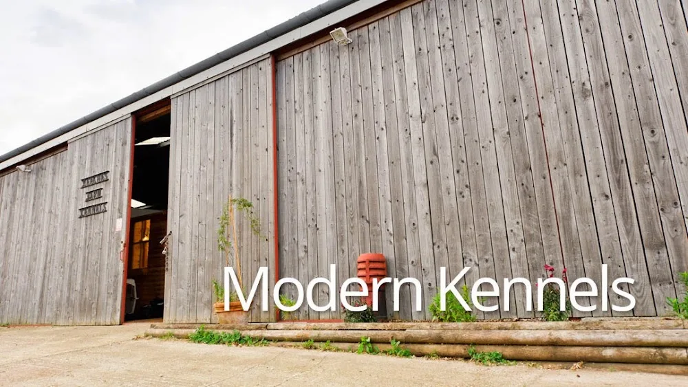 Beeches Kennels - Kent pet otel görseli 2